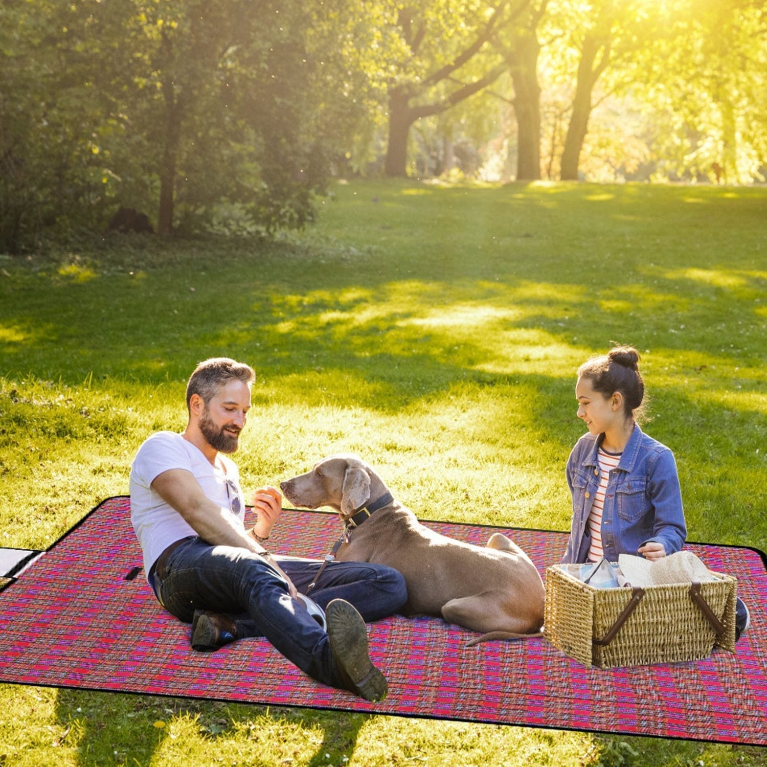 Game Time Picnic Essentials