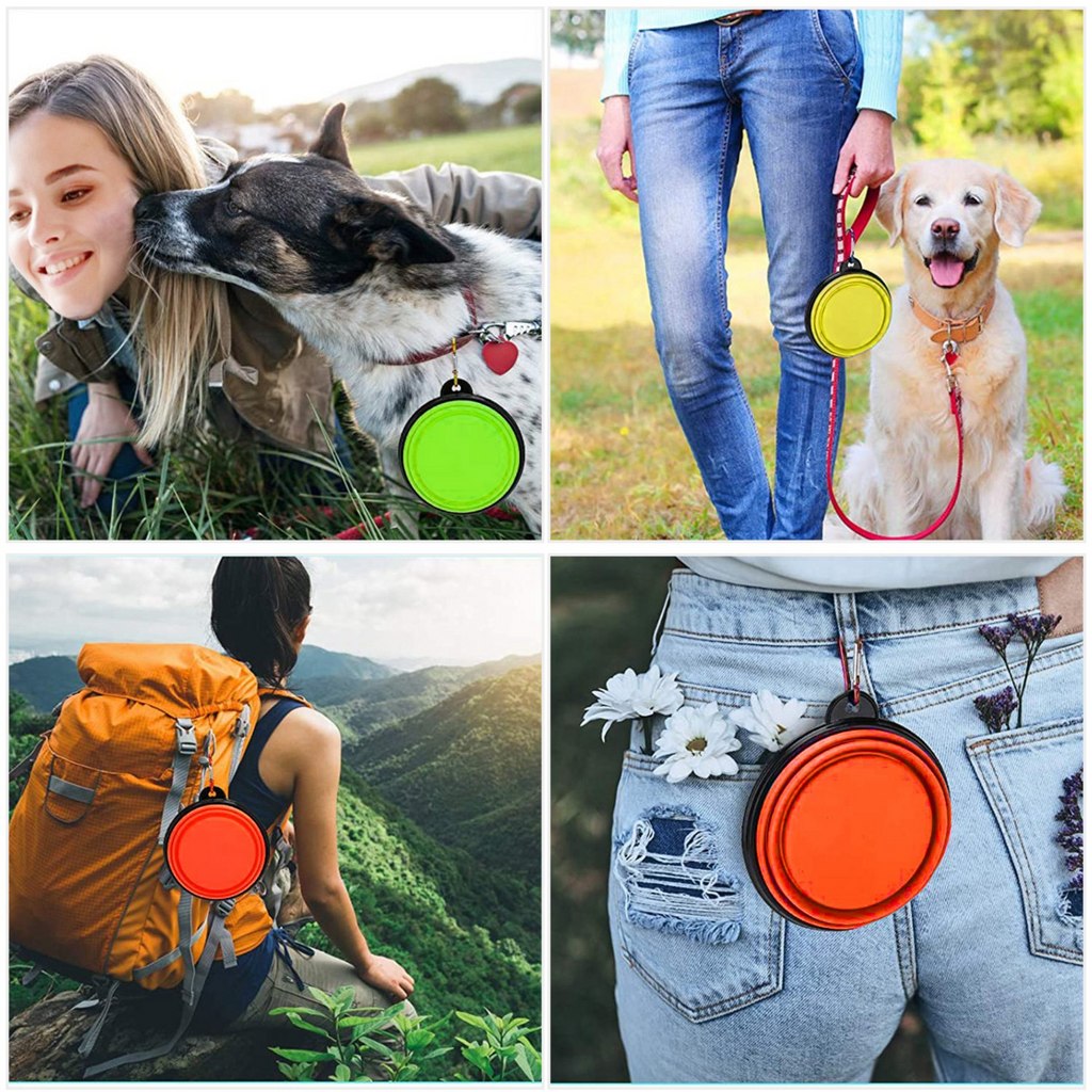 4Pcs Silicone Collapsible Dog Bowls BPA Free Travel Dog Bowl Foldable Cat Dog Food Water Bowl w/ Carabiner Clip For Traveling Walking Hiking