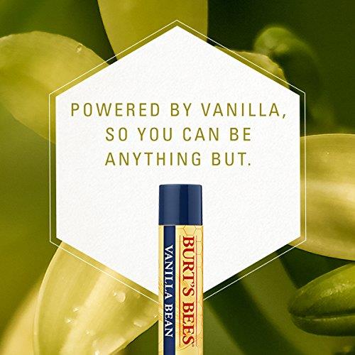Burts Bees Moisturizing Lip Balm, Vanilla Bean, 0.15 Ounce