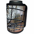 3dRose An abstract macro photograph of a disc golf basket... - Can Cooler Bottle Wrap (cc_350889)