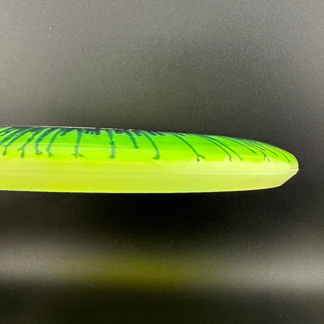 I-Dye Champion Aviar