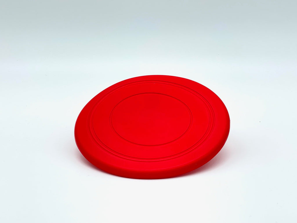 Fetch Me Frisbee