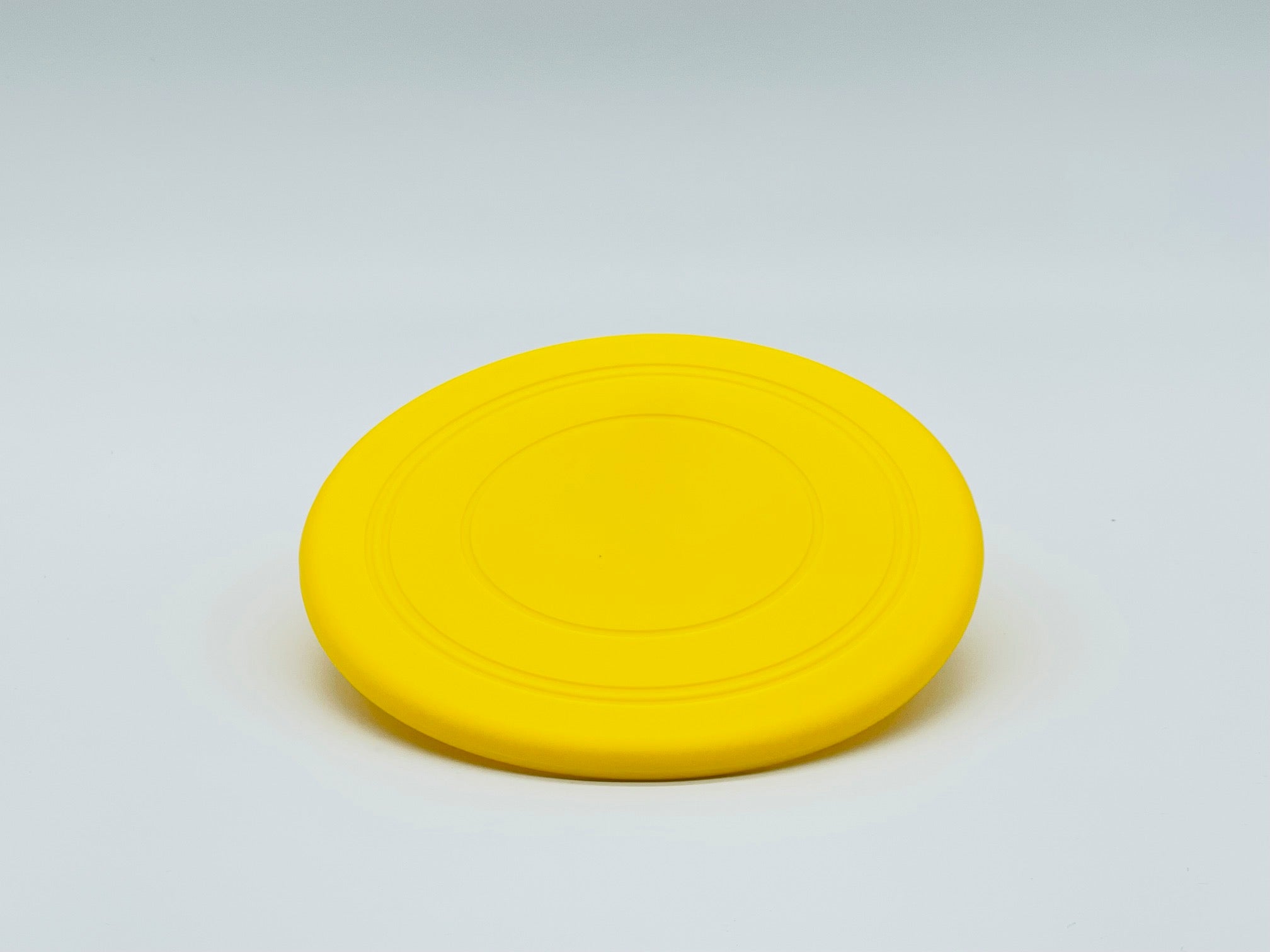Fetch Me Frisbee