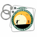 3dRose Key Chains Putt Plastic In Its Place 10 silhouette of frisbee disc golfer putting with birds flying (kc-21106-1)