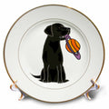 3dRose Funny Black Labrador Retriever Dog with Saturn Planet as Frisbee - Plates (cp_342272)