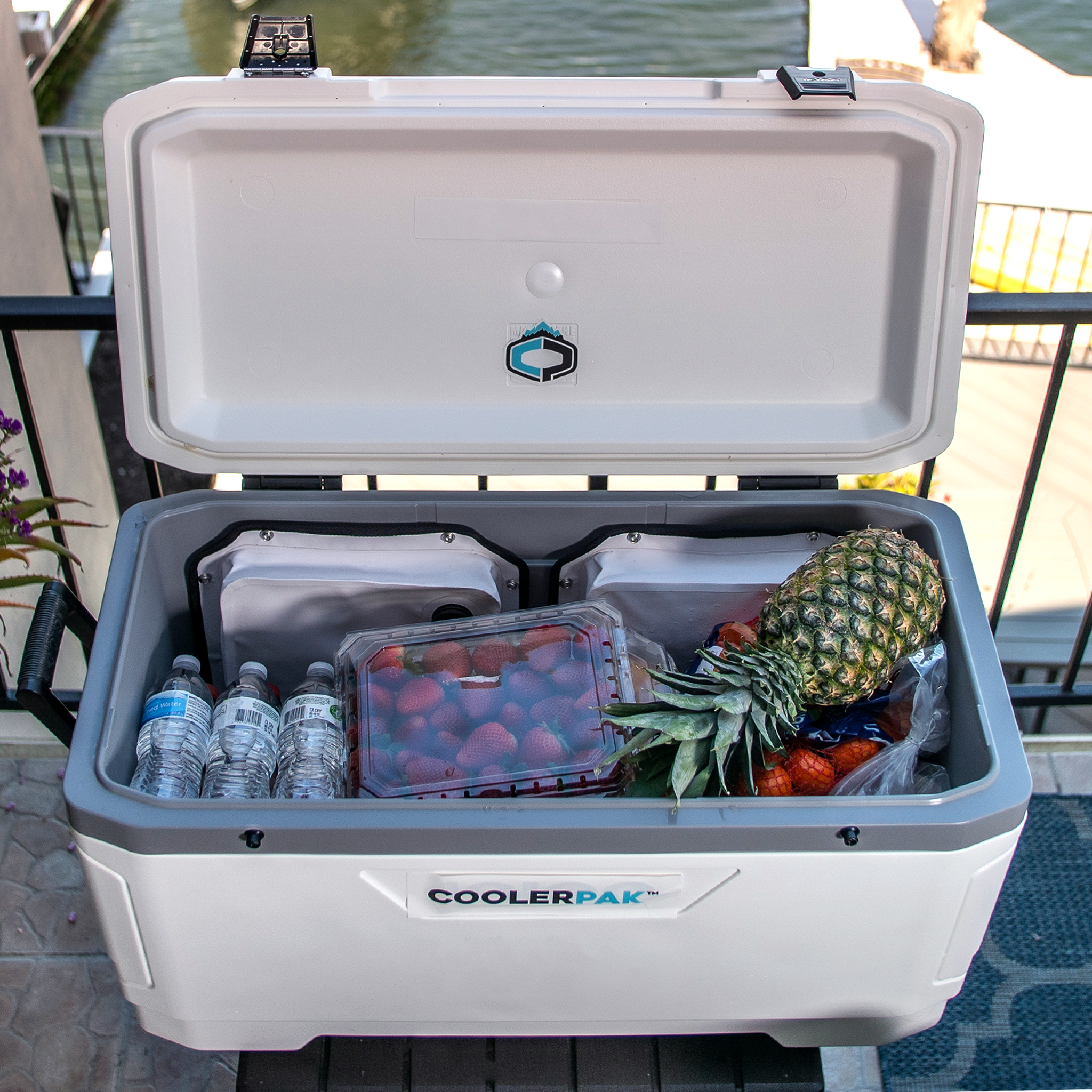 CoolerPak 12lb Ice Block Pack - Reusable Ice Pack for Coolers