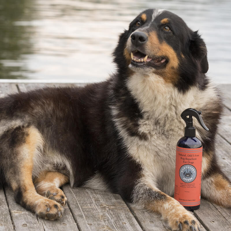 Bug Repellent Spray For Dogs